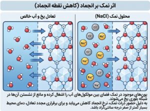 pnoghtezobjoshhase06 300x222