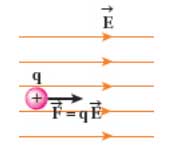 ph11 s1 Eq 02 نیروی وارد بر بار الکتریکی در میدان الکتریکی
