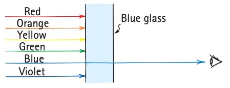 transmission blue طبیعت بی رنگ : چگونه فرکانس های نور در چشم و مغز ما به طبیعت رنگ می دهند؟